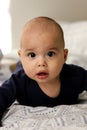 Sweet chubby cheeky baby boy lying on his tummy on the bed. Funny face expression Royalty Free Stock Photo