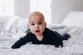 Sweet chubby cheeky baby boy lying on his tummy on the bed. Funny face expression Royalty Free Stock Photo