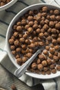 Sweet Cocoa Chocolate Sugar Cereal Puffs