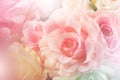 Sweet color fabric roses in soft style for background