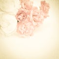 Sweet color roses on mulberry paper texture