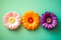 sweet colorful flower heads on a light green empty background. wallpaper art decor