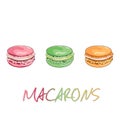 Sweet colour macarons on the white background