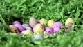 Sweet colourful candy eggs in green grass nest.