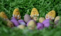 Sweet colourful candy eggs in green grass nest