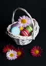 Sweet and colourful french macaroons in the basket Royalty Free Stock Photo