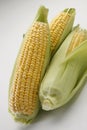 Sweet corn