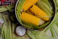 Sweet corn boil with salt. cooked sweet corn in pot on wooden table. Royalty Free Stock Photo