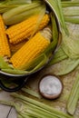 Sweet corn boil with salt. cooked sweet corn in pot on wooden table. Royalty Free Stock Photo