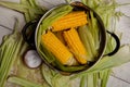 Sweet corn boil with salt. cooked sweet corn in pot on wooden table. Royalty Free Stock Photo