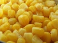 Sweet corn