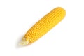 Sweet corn cob isolated on white background, maize Royalty Free Stock Photo
