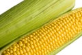 Sweet corn-cobs