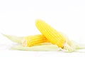 Sweet corn on cobs kernels or fresh grains of ripe corn on white background corn vegetable isolated Royalty Free Stock Photo