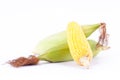 Sweet corn on cobs kernels or fresh grains of ripe corn on white background corn vegetable isolated Royalty Free Stock Photo