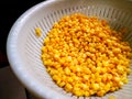 Sweet corn in cullender drained. Royalty Free Stock Photo