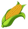 Sweet Corn Ear Maize Cob Cartoon Illustration