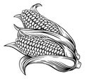 Sweet Corn Ear Maize Woodcut Etching Illustration