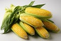 Sweet Corn Espiga isolated in the white back Royalty Free Stock Photo