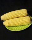Sweet corn isolated on dark background.