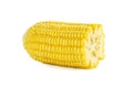 Organic sweet corn isolated on a white background. Royalty Free Stock Photo