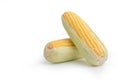 Sweet corn isolated on the white background Royalty Free Stock Photo