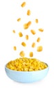 Sweet corn kernels falling into bowl on background Royalty Free Stock Photo