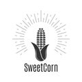 Sweet Corn Logo. Maize Design On White Background