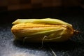 Freshly harvested corn cobs are ready to eat, Corns on a brown wooden background. Royalty Free Stock Photo