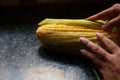 Freshly harvested corn cobs are ready to eat, Corns on a brown wooden background. Royalty Free Stock Photo