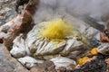 Furnas geyser sacks sewing sweet corn cobs, a typical snack from the island of SÃÂ£o Miguel, Azores PORTUGAL Royalty Free Stock Photo