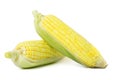 Sweet corns with husk Royalty Free Stock Photo