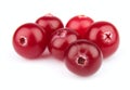 Sweet cranberries Royalty Free Stock Photo