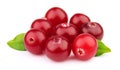 Sweet cranberries close up Royalty Free Stock Photo
