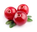 Sweet cranberries Royalty Free Stock Photo