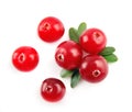 Sweet cranberries