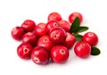 Sweet cranberries Royalty Free Stock Photo