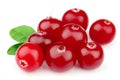 Sweet cranberries with leafs Royalty Free Stock Photo