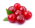 Sweet cranberries with leafs Royalty Free Stock Photo