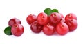 Sweet cranberries Royalty Free Stock Photo