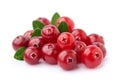 Sweet cranberries . Royalty Free Stock Photo