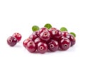 Sweet cranberries with leaves Royalty Free Stock Photo