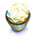 Sweet cream cupcake isolated