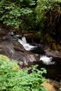 Sweet Creek Falls