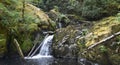 Sweet Creek Falls Waterfall along Hiking Trail Complex near Mapleton Oregon. Royalty Free Stock Photo