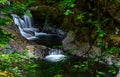 Sweet Creek Trail head water flow peaking through trees Royalty Free Stock Photo