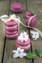 Sweet crimson french macaroons wiht hyacinth flowers and mint on dark wooden background