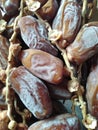 sweet and crunchy stemmed tunis dates Royalty Free Stock Photo