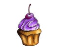 Sweet cupcake with purple cream and cherry. Drawing by hand, markers. Cake on a white background. Royalty Free Stock Photo