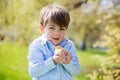 Sweet cute child, preschool boy, playing with little newborn chi